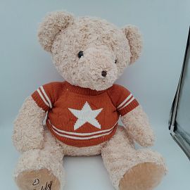 Oso Teddy Marrón 50 cm 